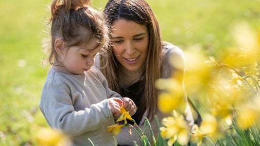 A woman and child looking at the daffodils in the garden at Powis Castle in Powys, Wales